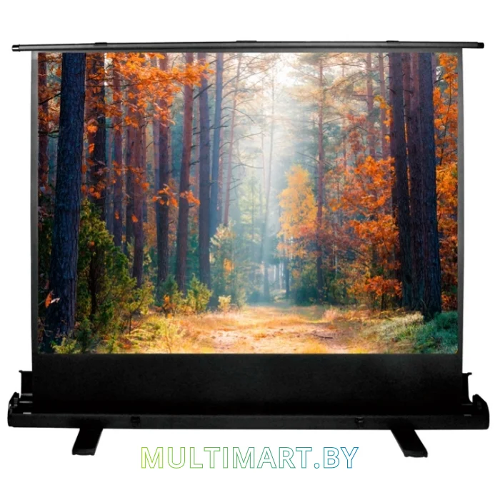 Проекционный экран CACTUS FloorExpert 135x180 (CS-PSFLE-180X135)